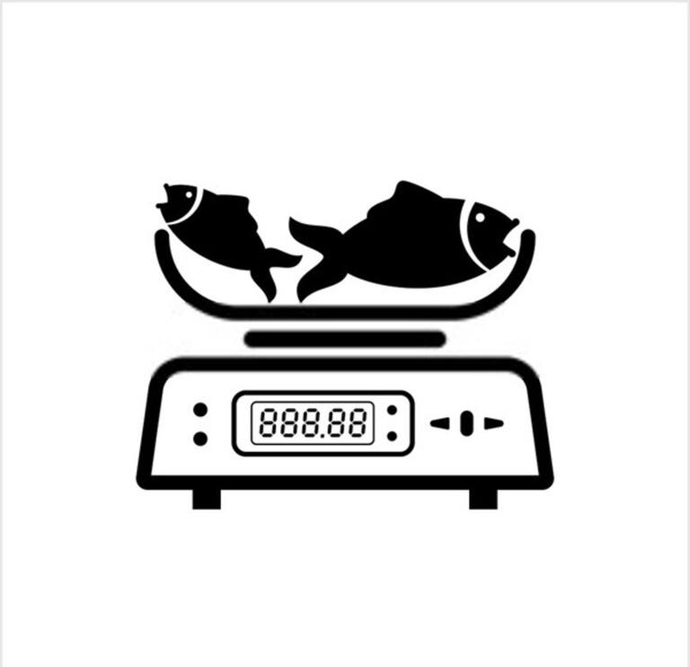 Kitchen Essentials For Healthy Eating