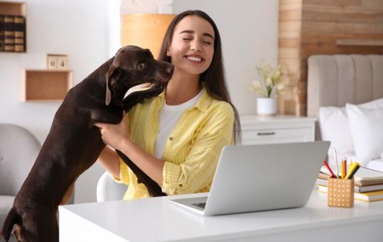 How To Combine a Home Office & Guest Bedroom?