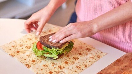 Simple Ways to Make Your Kitchen More Sustainable