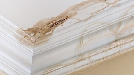 How to Repair a Water Damaged Ceiling?