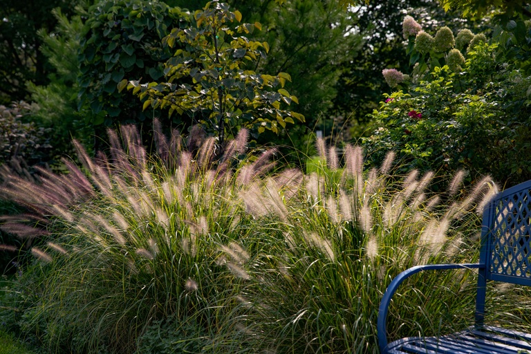 Landscaping Ideas for a Windy Location Landscaping Ideas for a Windy Location