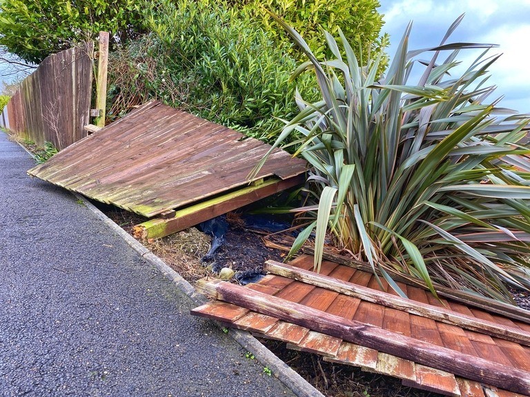 Landscaping Ideas for a Windy Location