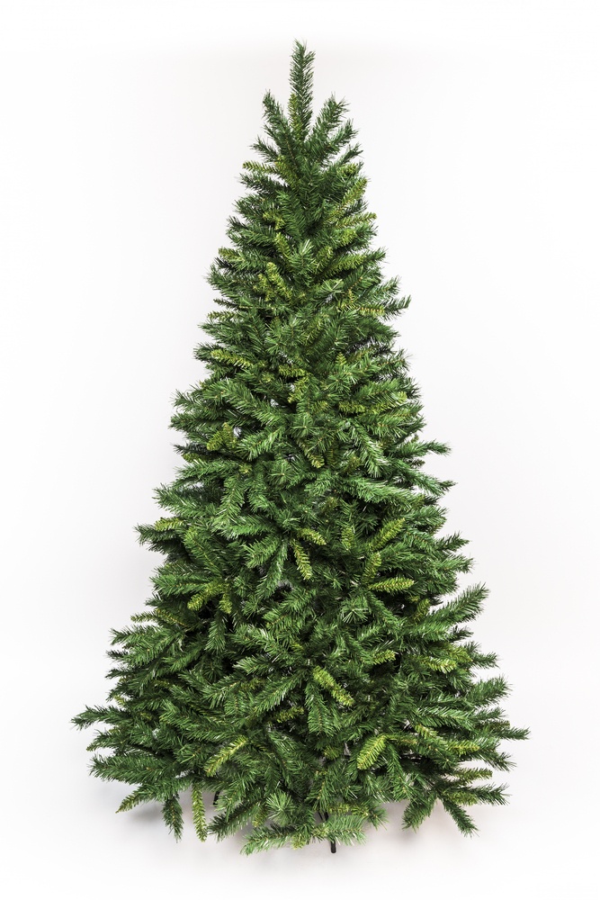 Landscaping Ideas for a Windy Location Landscaping Ideas for a Windy Location