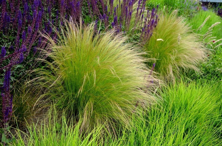 Landscaping Ideas for a Windy Location Landscaping Ideas for a Windy Location