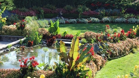 Landscaping Ideas for a Windy Location