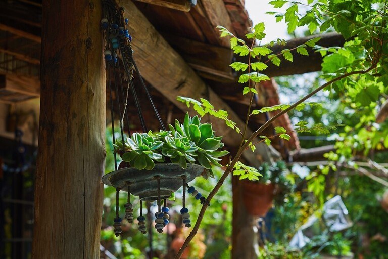 Creatively Stylish Ways to Decorate House with Succulents