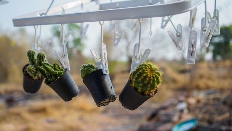 Creatively Stylish Ways to Decorate House with Succulents