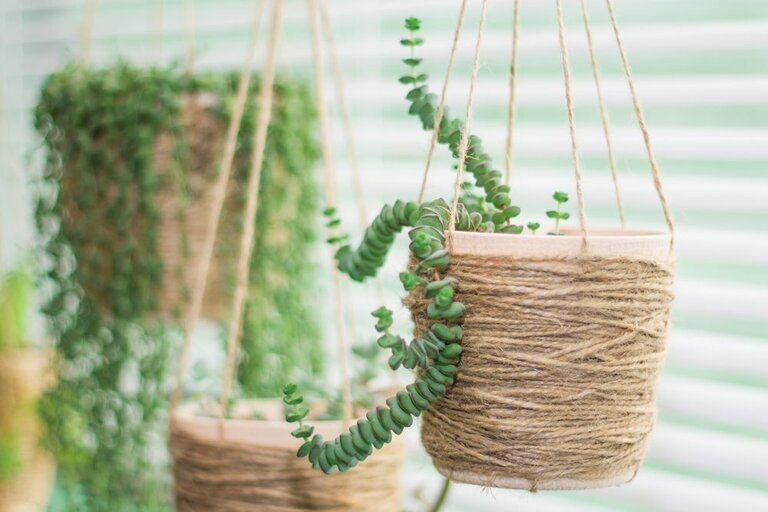 Creatively Stylish Ways to Decorate House with Succulents Creatively Stylish Ways to Decorate House with Succulents