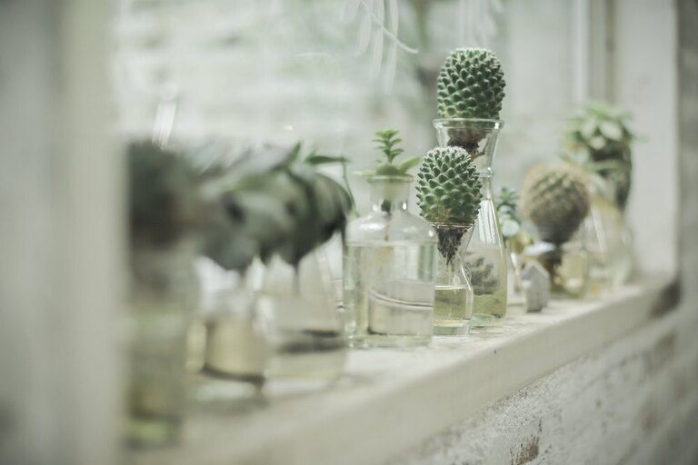 Creatively Stylish Ways to Decorate House with Succulents Creatively Stylish Ways to Decorate House with Succulents