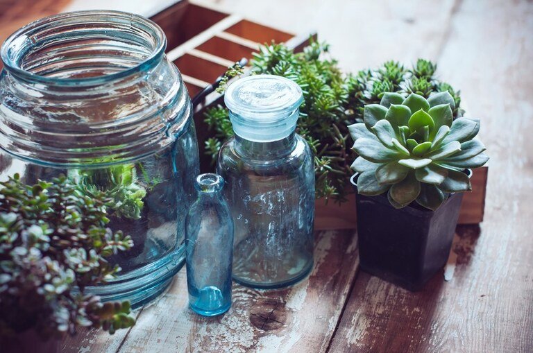 Creatively Stylish Ways to Decorate House with Succulents Creatively Stylish Ways to Decorate House with Succulents