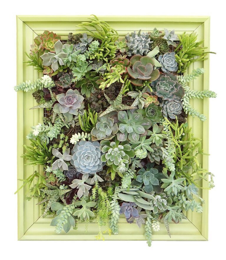 Creatively Stylish Ways to Decorate House with Succulents Creatively Stylish Ways to Decorate House with Succulents