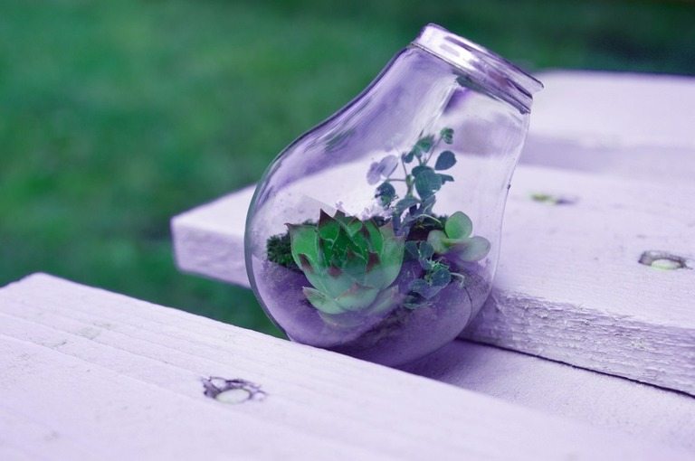 Creatively Stylish Ways to Decorate House with Succulents Creatively Stylish Ways to Decorate House with Succulents