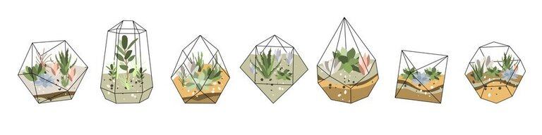 Creatively Stylish Ways to Decorate House with Succulents Creatively Stylish Ways to Decorate House with Succulents