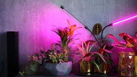 6 Best Grow Lights For Seedlings of 2026
