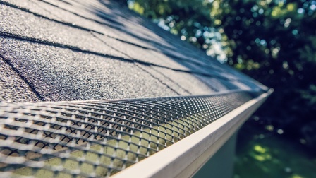 6 Best Gutter Guards For Pine Needles of 2026