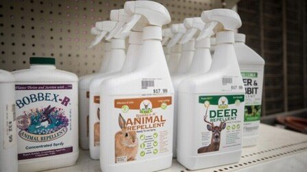 6 Best Deer And Rabbit Repellents of 2025