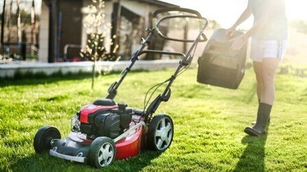 12 Best Lawn Mowers For Bermuda Grass of 2025