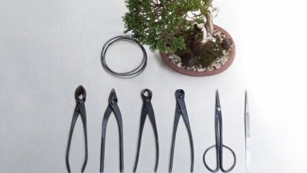 10 Best Gifts For Gardener Dad of 2025