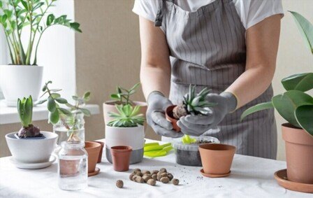 10 Best Gifts For Plant Lovers of 2025