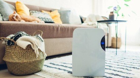 6 Most Reliable Dehumidifiers of 2026