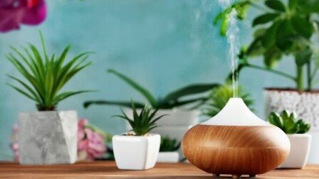 Quietest Essential Oil Diffuser of 2026: Top 6 Picks
