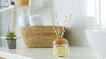 Strongest Air Freshener For Home of 2025: Top 9 Picks