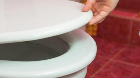 6 Best Toilet Seats For Heavy Person of 2025 6 Best Toilet Seats For Heavy Person of 2025