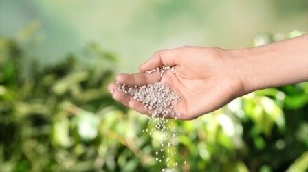 Best Fertilizer For Lychee Tree of 2025: Top 6 Picks