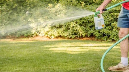 Most Effective Weed Killer For Lawns of 2025: Top 6 Picks