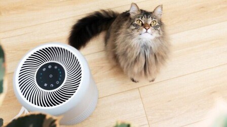 Best Air Purifier For Pet Allergies And Asthma of 2025: Top 6 Picks