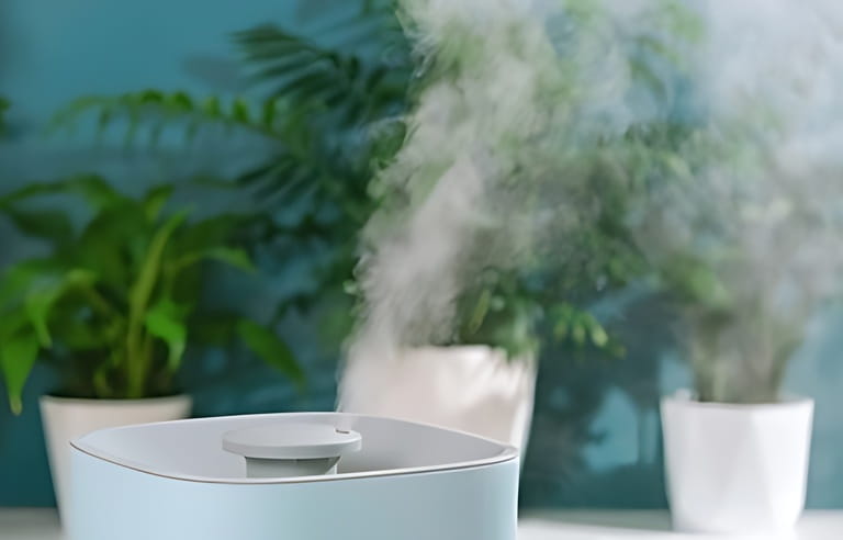 Where Is the Best Place for Your Bedroom Humidifier? Where Is the Best Place for Your Bedroom Humidifier?