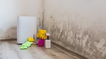 Most Efficient Dehumidifier For Basement of 2025: Top 9 Picks