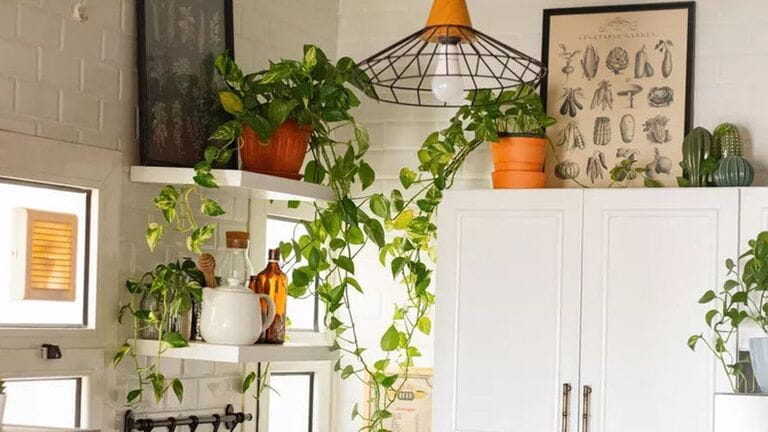 New Ways to Decorate Above Your Kitchen Cabinets New Ways to Decorate Above Your Kitchen Cabinets