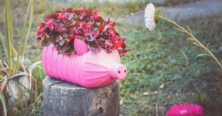 21 Tips to Transform Outdoor Spaces Without Breaking the Bank