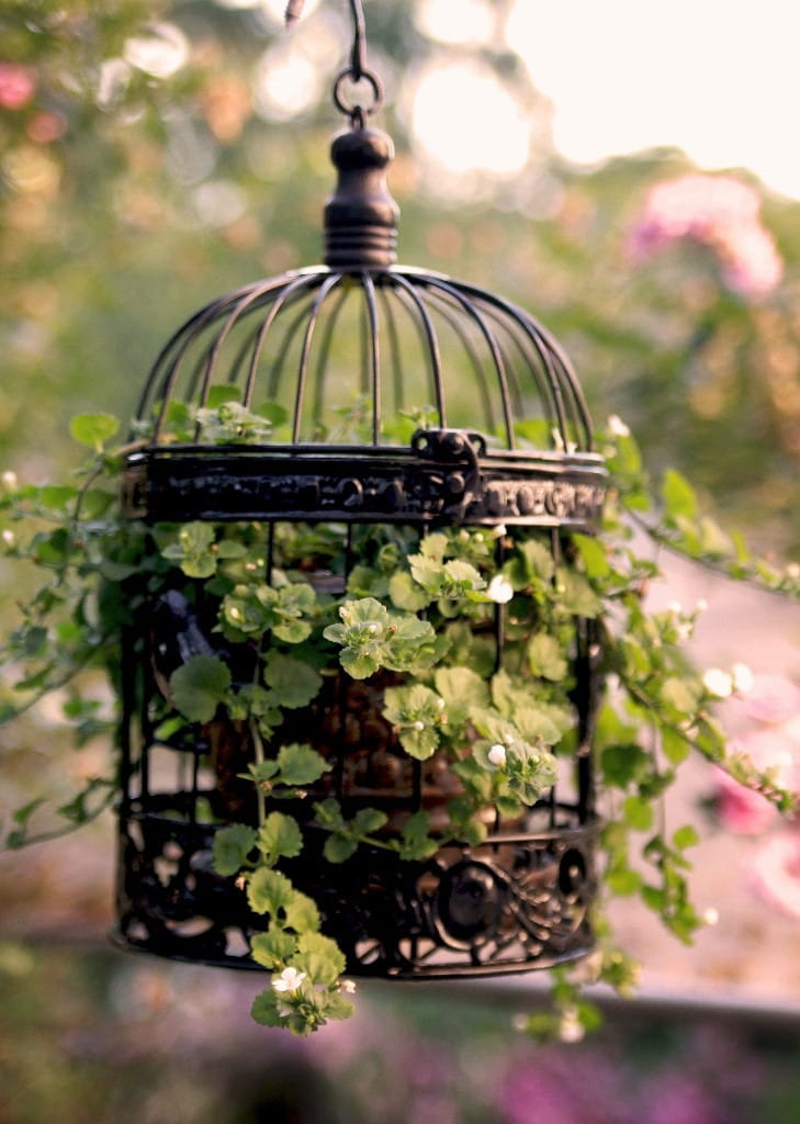 25 Vibrant Hanging Planter Ideas for Your Front Porch