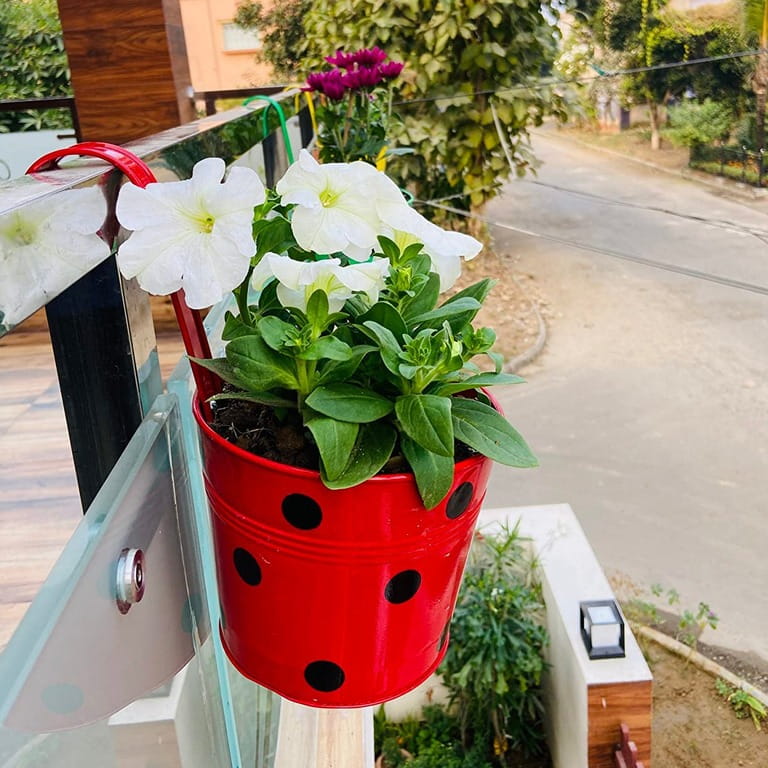 25 Vibrant Hanging Planter Ideas for Your Front Porch