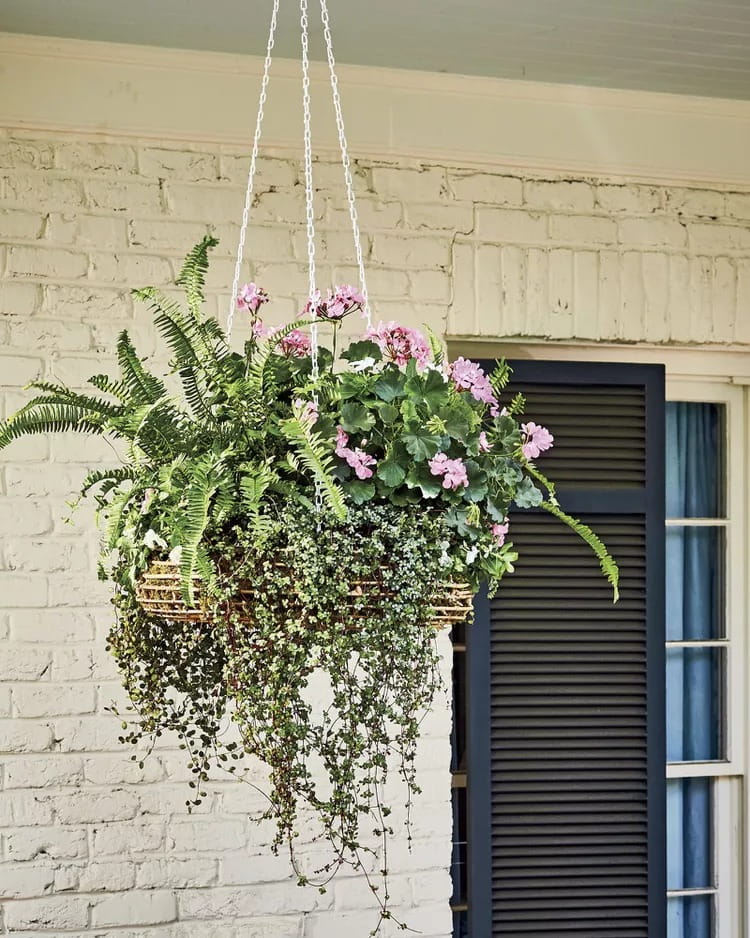 25 Vibrant Hanging Planter Ideas for Your Front Porch