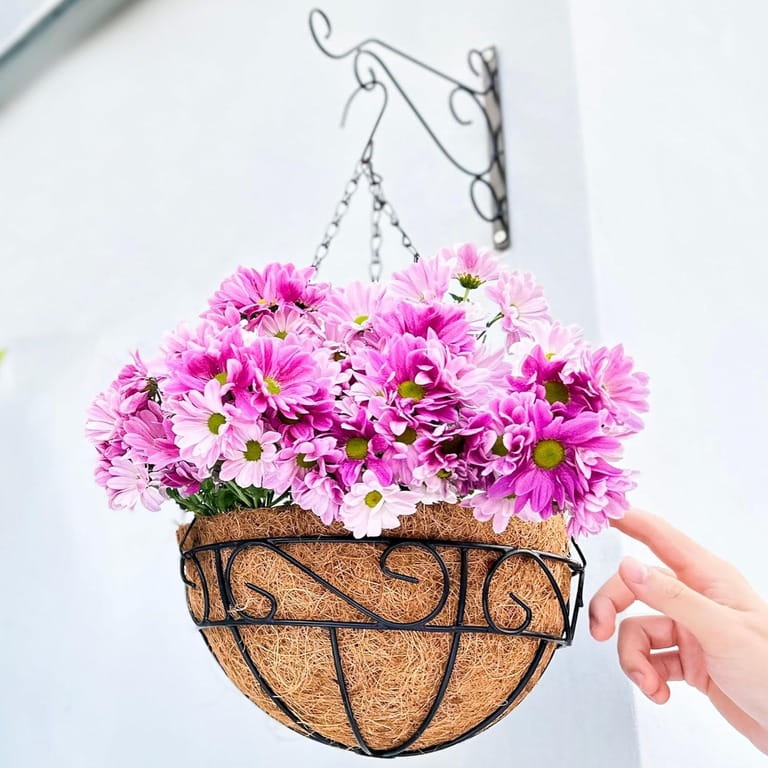 25 Vibrant Hanging Planter Ideas for Your Front Porch