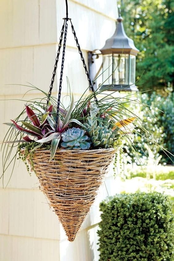 25 Vibrant Hanging Planter Ideas for Your Front Porch