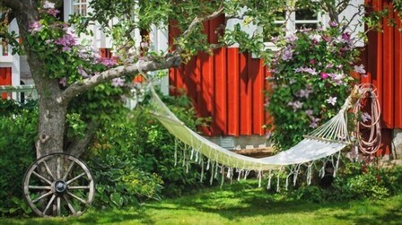 Best Backyard Hammock With Stand of 2025: Top 6 Picks