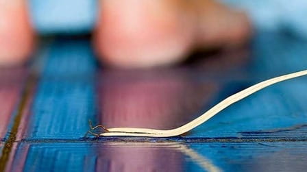 Is Your Bathroom a Danger Zone? Discover 8 Hidden Risks and How to Prevent Them!