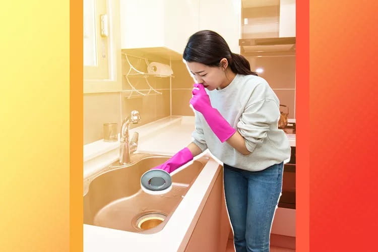 The Truth About That Awful Kitchen Odor — What You’re Overlooking The Truth About That Awful Kitchen Odor — What You’re Overlooking