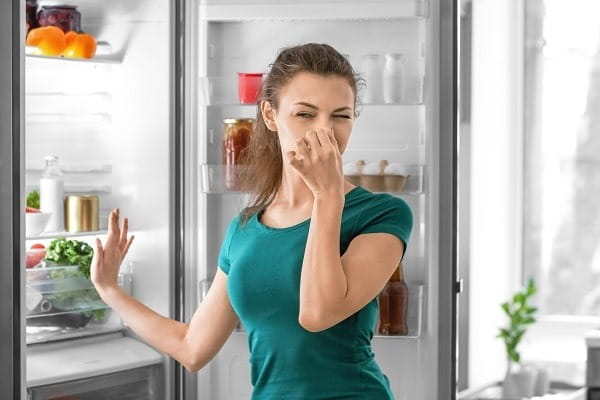 The Truth About That Awful Kitchen Odor — What You’re Overlooking The Truth About That Awful Kitchen Odor — What You’re Overlooking
