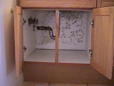 The Truth About That Awful Kitchen Odor — What You’re Overlooking The Truth About That Awful Kitchen Odor — What You’re Overlooking