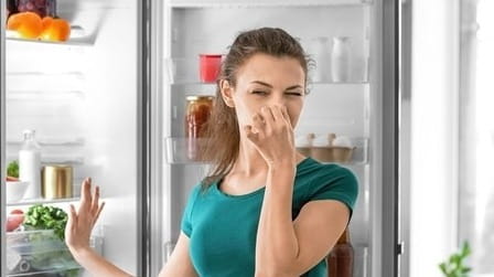 The Truth About That Awful Kitchen Odor — What You’re Overlooking The Truth About That Awful Kitchen Odor — What You’re Overlooking