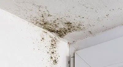 Are You Breathing Poison? Shocking Indoor Pollutants Revealed Are You Breathing Poison? Shocking Indoor Pollutants Revealed