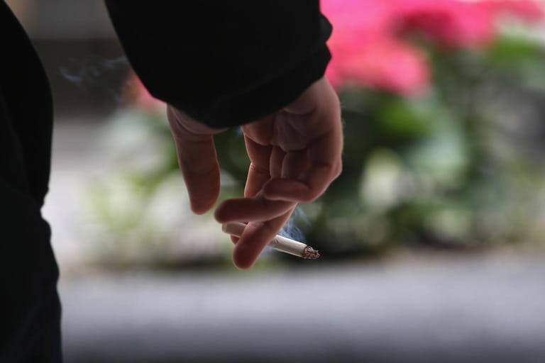 Are You Breathing Poison? Shocking Indoor Pollutants Revealed Are You Breathing Poison? Shocking Indoor Pollutants Revealed