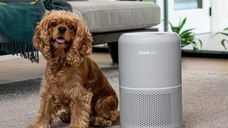 Pet Odor Problem? Here’s the Secret to a Fresh-Smelling Home! Pet Odor Problem? Here’s the Secret to a Fresh-Smelling Home!