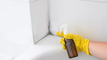 Stay Mold-Free: The Definitive Guide to Prevention