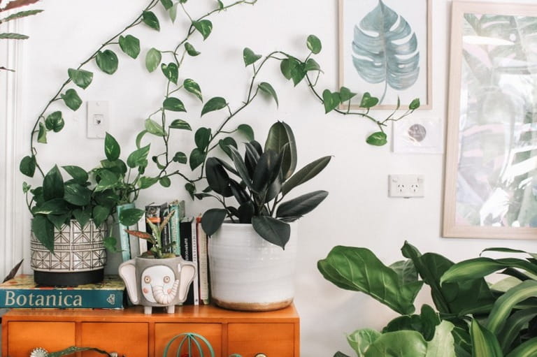 From Drab to Fab: Easy Ways to Make Your Rental Feel Cozy! From Drab to Fab: Easy Ways to Make Your Rental Feel Cozy!